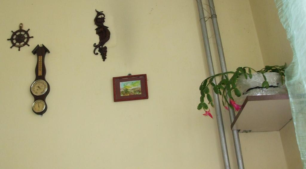 Kamigs Rooms Sofia Room photo